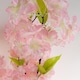 image 4 of 150cm Artificial Pink Cherry Blossom Tree