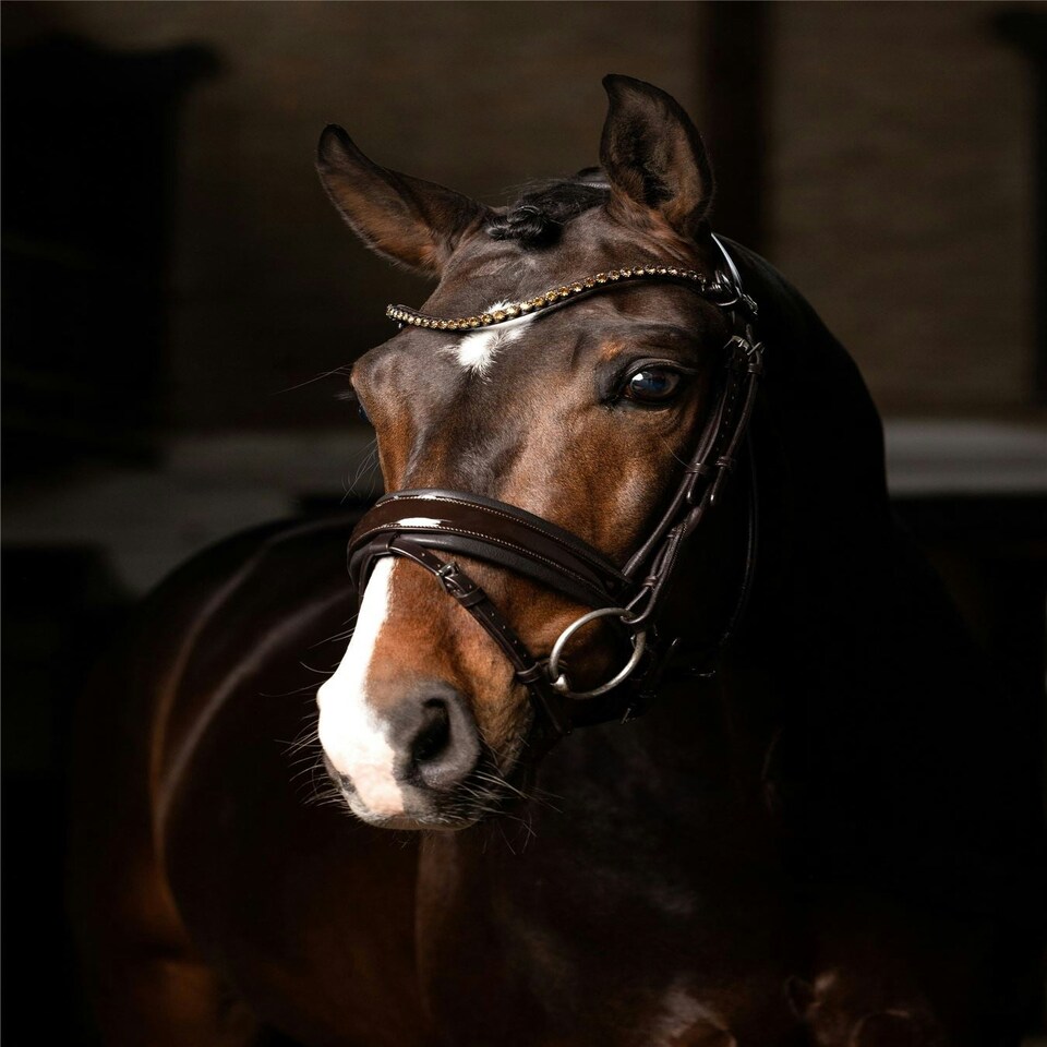 image 1 of LeMieux Kudos Patent Dressage Bridle Brown | Full