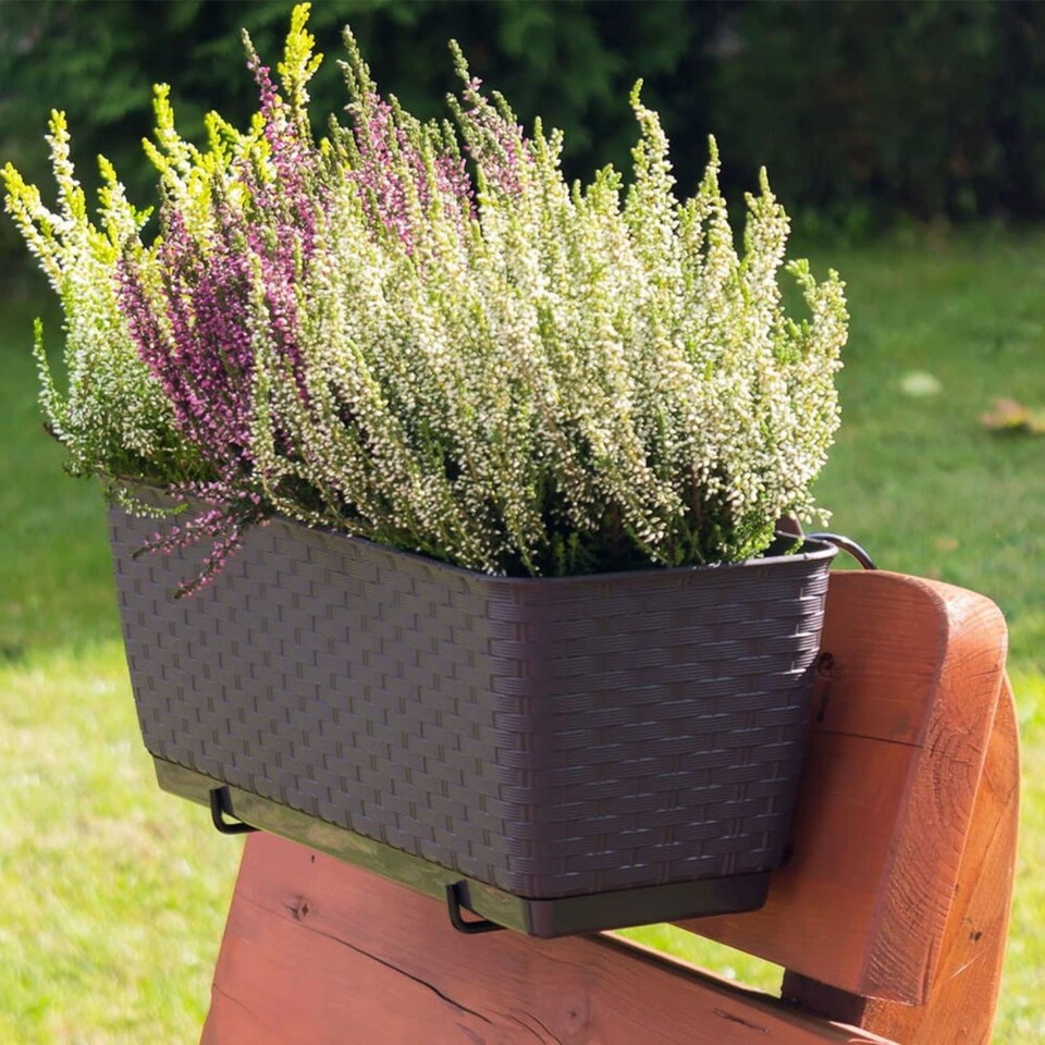 image 1 of Ratolla Rattan Balcony Planter - 14.5x78.3x17.3 cm | Brown | Brown & Set of 1 | 1