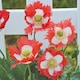 image 3 of Poppy Danish Flag Heritage Opium Poppy Seeds - Scarlet with White Cross - 400 Seeds