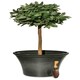 image 4 of Primrose Carbon Glaze Effect Bowl Planter Frost & Fade Resistant 55cm