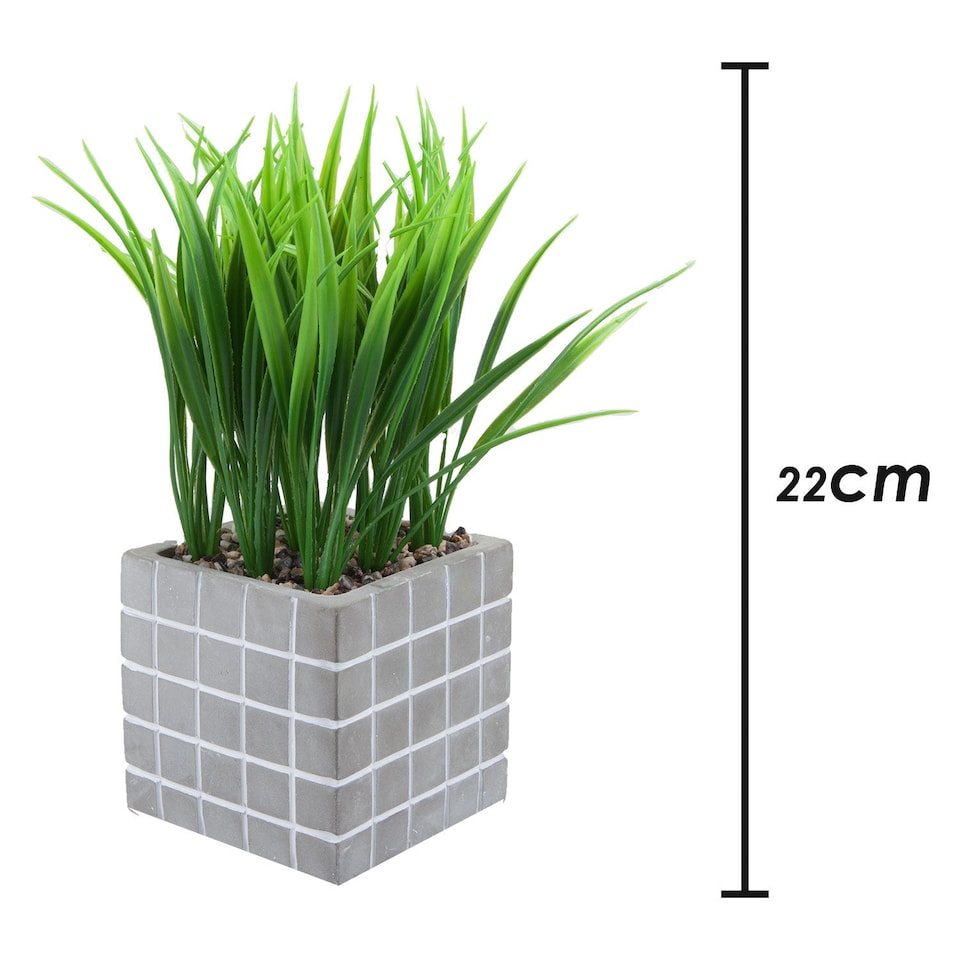 image 1 of PMS Artificial Succulent in Grey Cement Pot - 22 x 11 cm