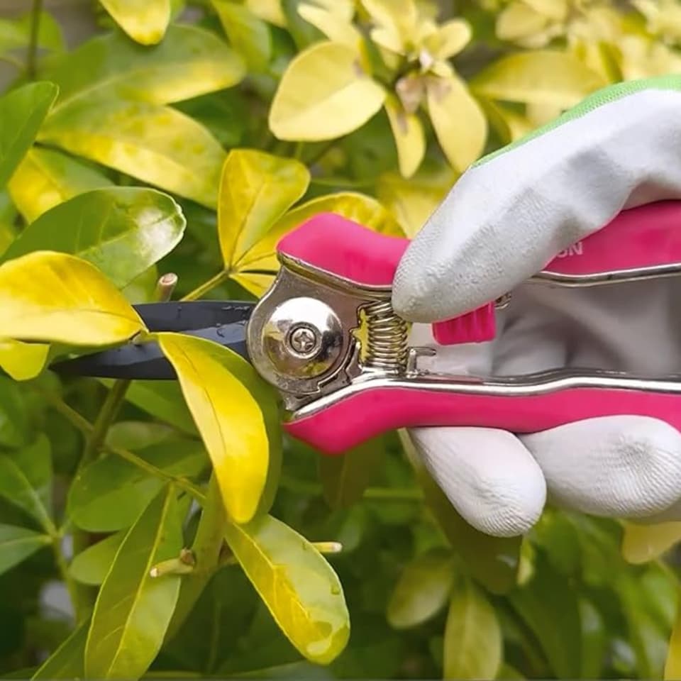 image 1 of Spear & Jackson Pink Garden Snips