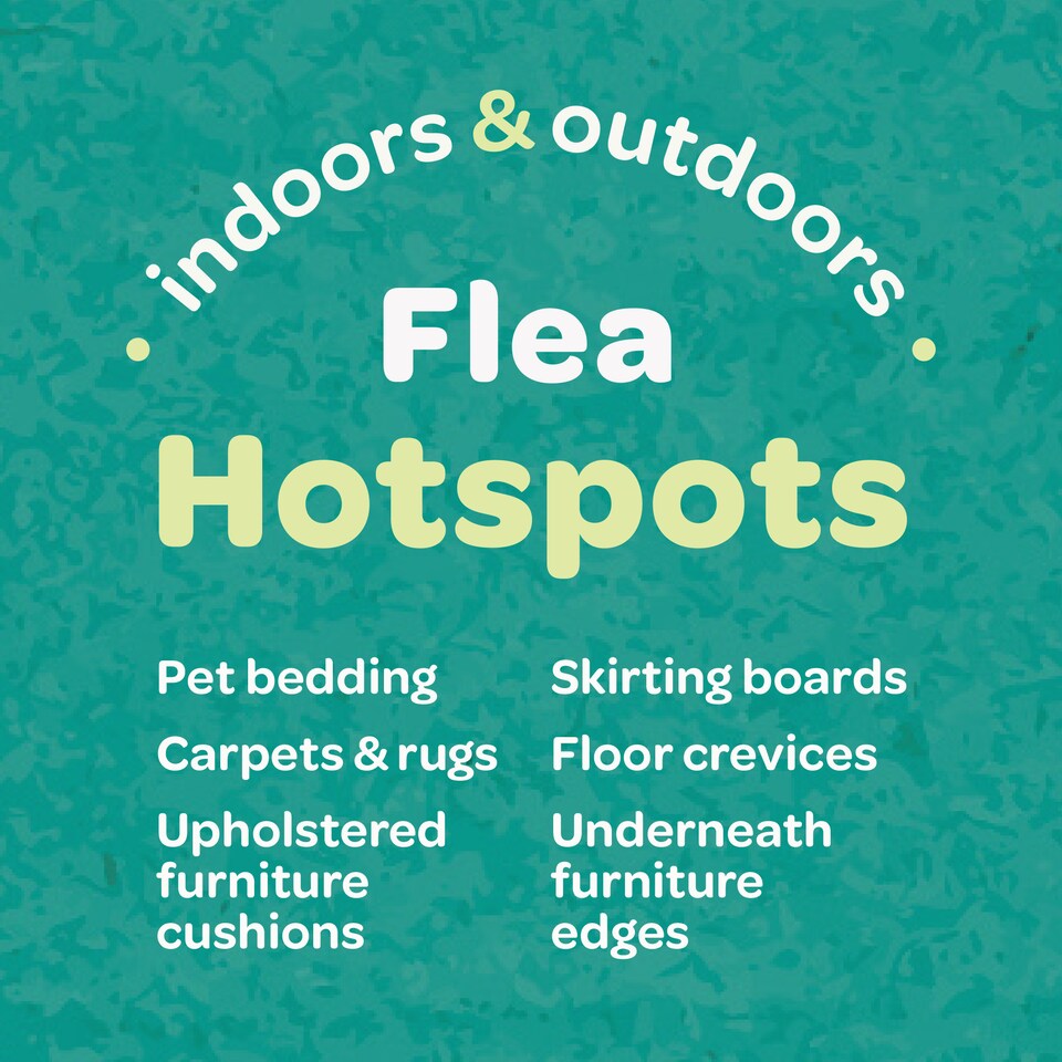 image 1 of Inoscent Flea Spray for the Home (5L) - For Cat & Dog Bedding, Carpets & Soft Furnishings - Non-Toxic, Pet & Family Safe