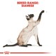 image 8 of ROYAL CANIN® Siamese Adult Dry Cat Food N/A | Size: 10kg
Breed: Adult