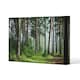 image 1 of Beautiful summer forest with different trees (Canvas Print) 31 x 41 x 4cm