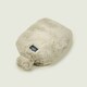 image 3 of Warmies Microwavable Bottle Latte Colour One Size