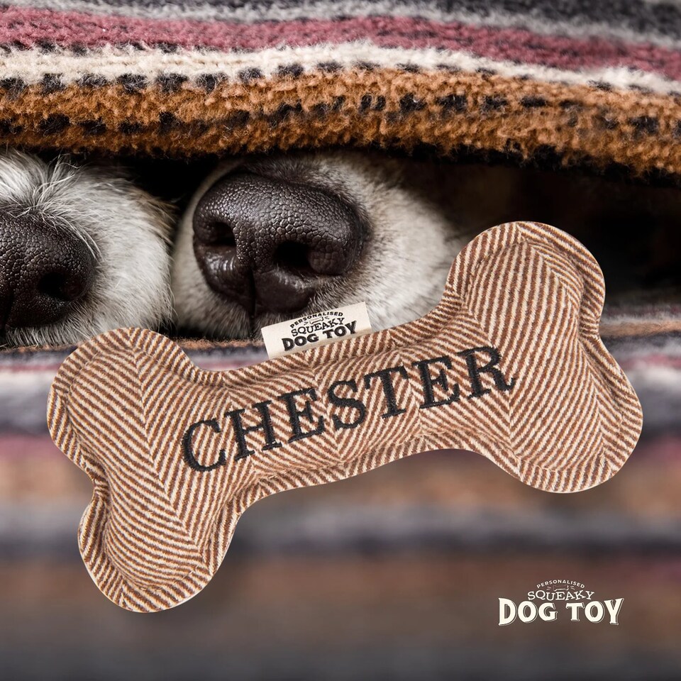 image 1 of History & Heraldry Pre-Personalised Squeaky Bone Dog Toy - Chester