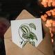image 3 of AF Lydon Benjamin Fawcett Smilax Macrophylla Vine Art Greeting Card