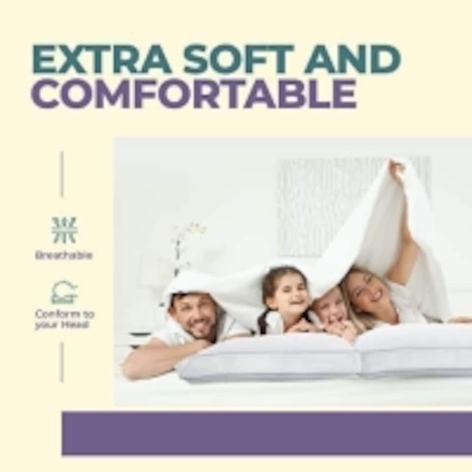 image 1 of 100% Egyptian Cotton Pillow, Side Sleeper, Bounce Back, Hypoallergenic - Pack of 2