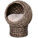 image 1 of PawHut Wicker Cat House, Raised Cat Bed with Cushion, 42 x 33 x 52cm, Dark Brown