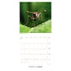 image 2 of BBC EARTH 2026 SQUARE CALENDAR
