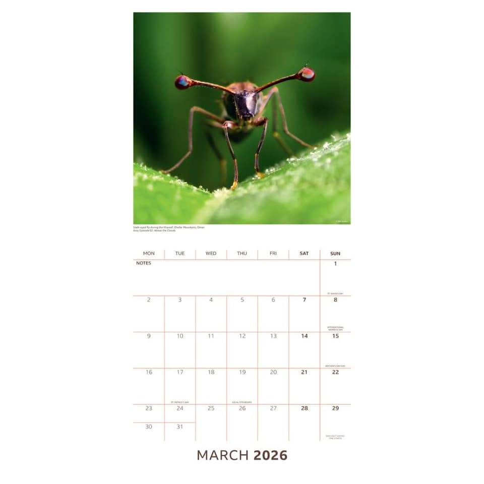 image 1 of BBC EARTH 2026 SQUARE CALENDAR