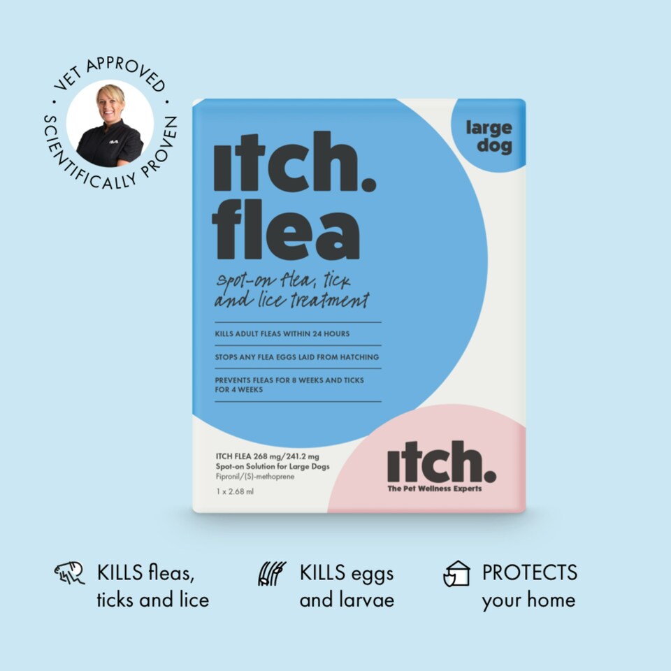 image 1 of Itch Flea Extra Large Dog Flea & Tick Spot On Treatment 1 Pipette (40+kg)