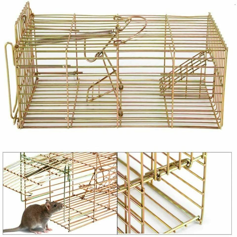 Heavy Duty Live Catch Rat Trap – Reusable Galvanised Steel Humane ...