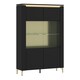 image 1 of Genoa Vitrin 2 Door in Black Matt/Gold