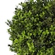 image 3 of Artificial Boxwood Buxus Topiary Tree 120cm Trunk | Green | 4ft