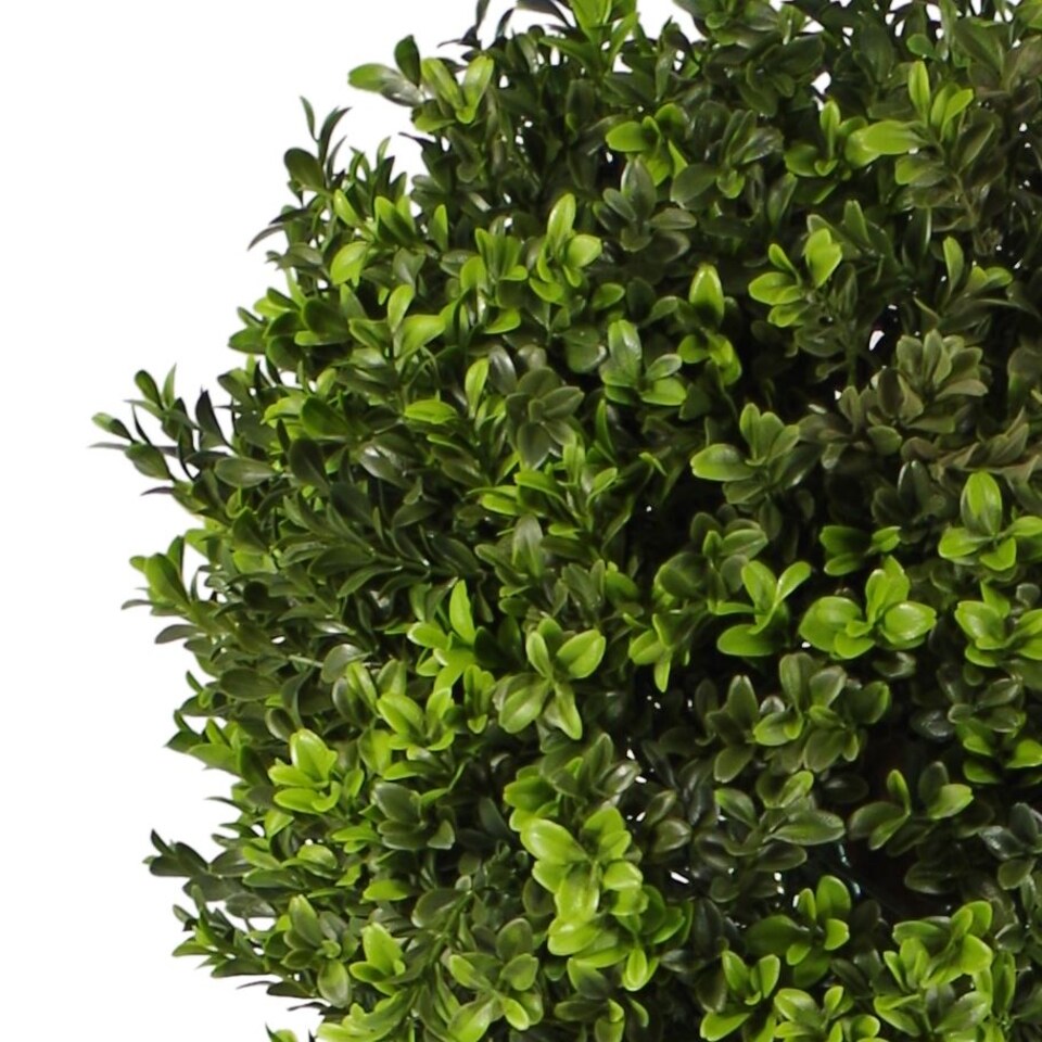 image 1 of Artificial Boxwood Buxus Topiary Tree 120cm Trunk | Green | 4ft