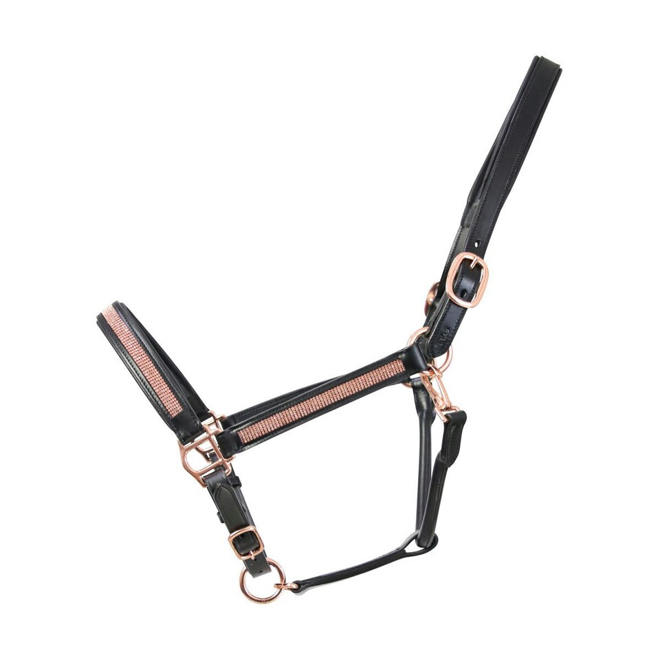 image 1 of Hy Rosciano Leather Horse Headcollar - Black/Rose Gold - Full