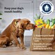 image 2 of 112 Pedigree Daily Dentastix Fresh Dental Sticks Dog Treats Medium Dog Chews