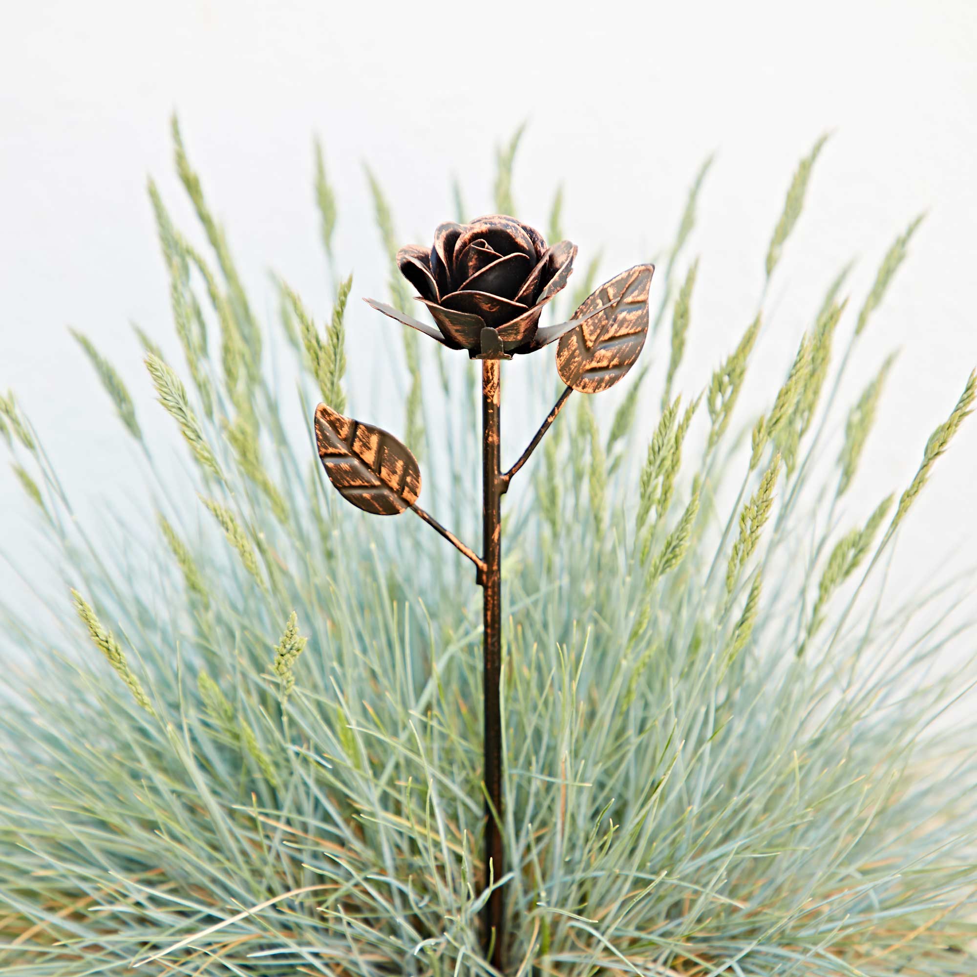 Paper High Iron Distressed Copper Rose Garden Stake in Black