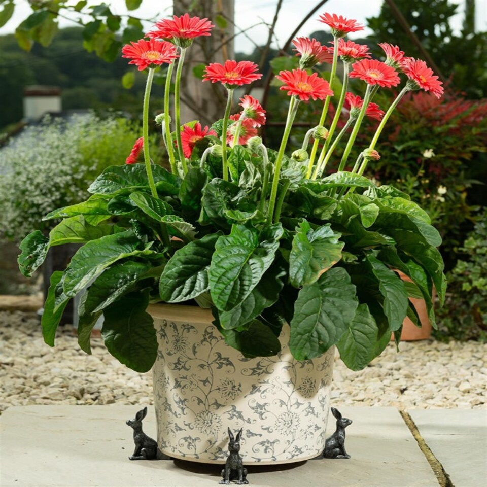image 1 of Small Bronze Sitting Hare Plant Pot Feet - Set of 3 Grey