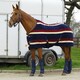 image 2 of Rhinegold Elite Fleece Rug Black | Size: 4ft 9
Colour: Black