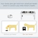 image 2 of PawHut Raised Dog Bowls Pet Feeder Raised Elevated Stainless Steel Food White