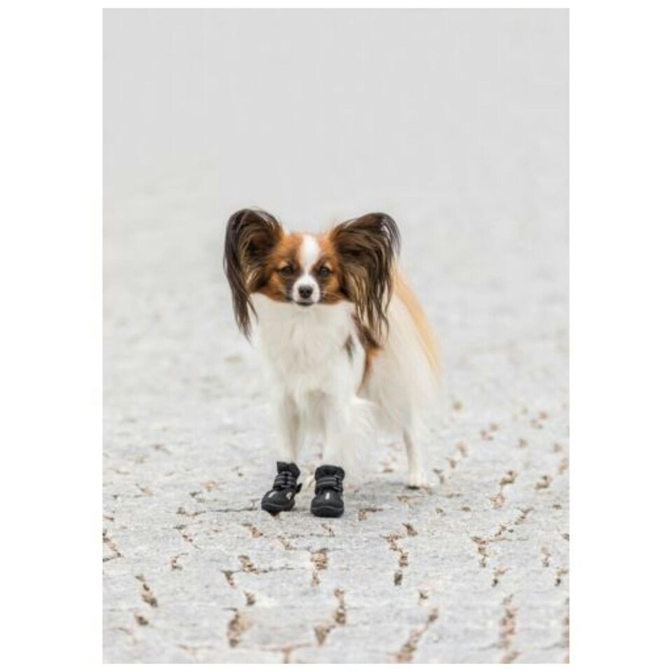 image 1 of Trixie Walker Active Protective Dog Boots - XS