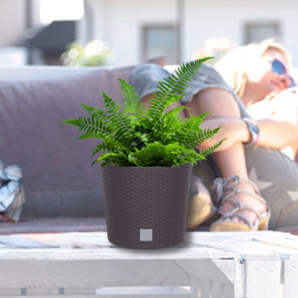 image 1 of 25 cm Rato Rattan Design Plant Pots Round -1-2 Pack | Brown | Brown & Set of 2 | 2