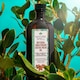 image 4 of Nature Spell Sacha Inchi Oil For Hair & Body