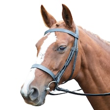 Avignon Hunter Leather Horse Cavesson Bridle - Black - Full