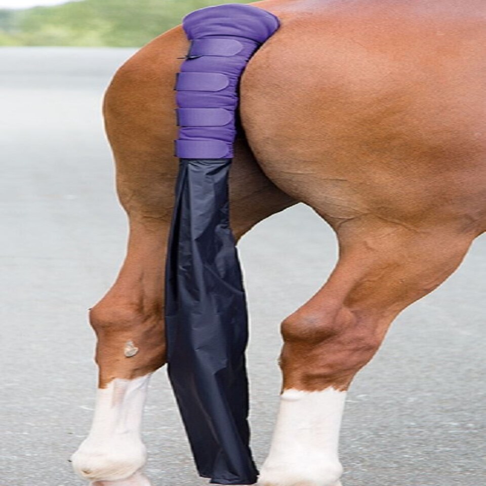 image 1 of Shires Padded Tail Guard With Bag Orange | Colour: Orange
Size: One Size
