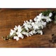 image 2 of Tall Delphinium Stem Artificial Plant - Plastic - L21 x W21 x H84 cm - White