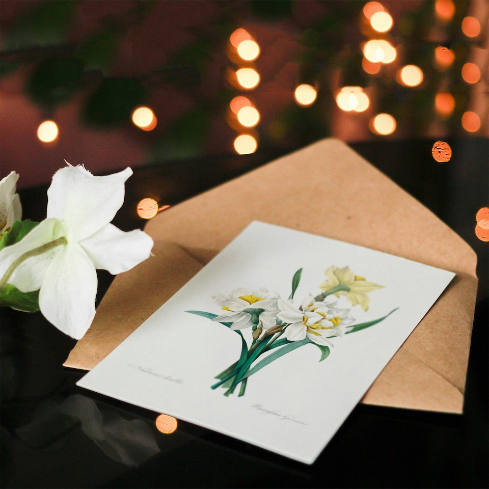 image 1 of Pierre-Joseph Redouté Art Card Daffodil Vintage Floral Illustration