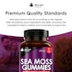 image 5 of Sea Moss Gummies + Burdock Root & Bladderwrack