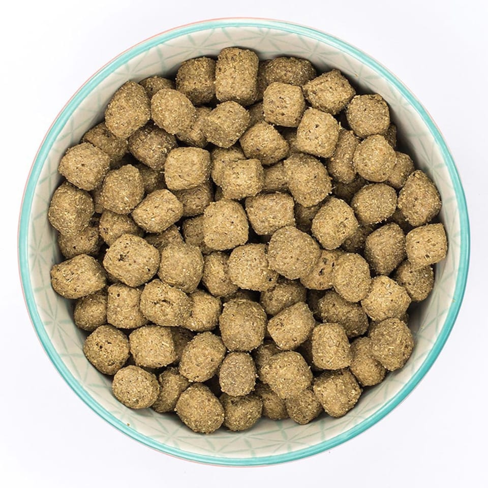 image 1 of Burns Puppy Lamb & Rice Dry Dog Food - 2 kg