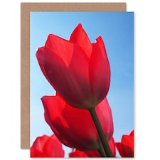 Photo Tulips Close Up Flower Birthday Card