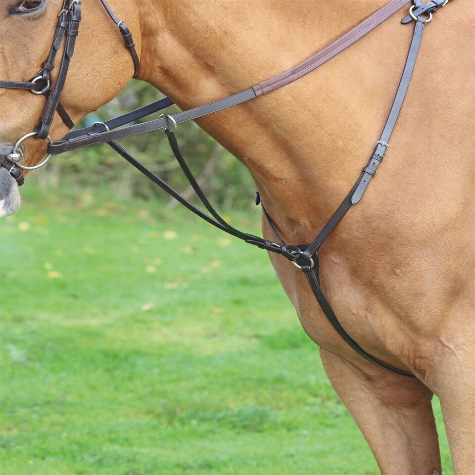 image 1 of Shires Aviemore Hunt Weight Breastplate Brown | Size: Full
Colour: H.Brown