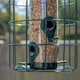 image 7 of Samuel Alexander Metal Hanging Bird Seed Feeder with Squirrel Guard