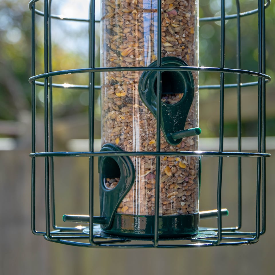 image 1 of Samuel Alexander Metal Hanging Bird Seed Feeder with Squirrel Guard