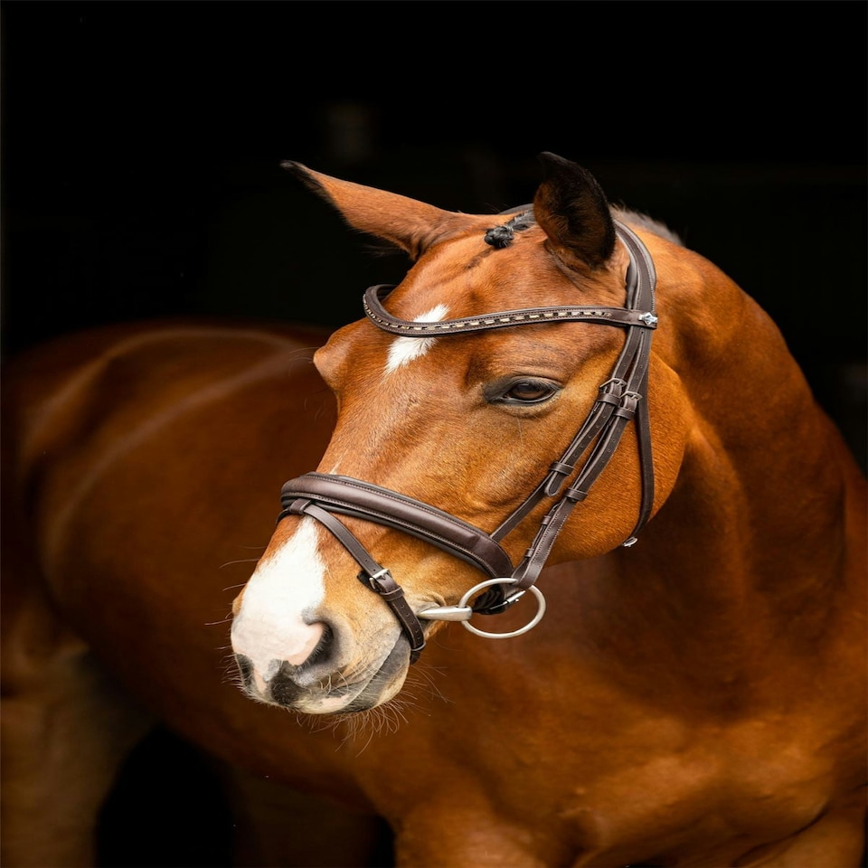 image 1 of LeMieux Arika Dressage Bridle Black | Cob