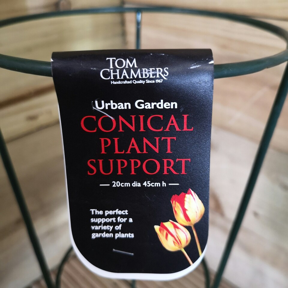 image 1 of Pack of 3 Tom Chambers Urban Green Conical Garden Plant Support Ring 20cm- Small