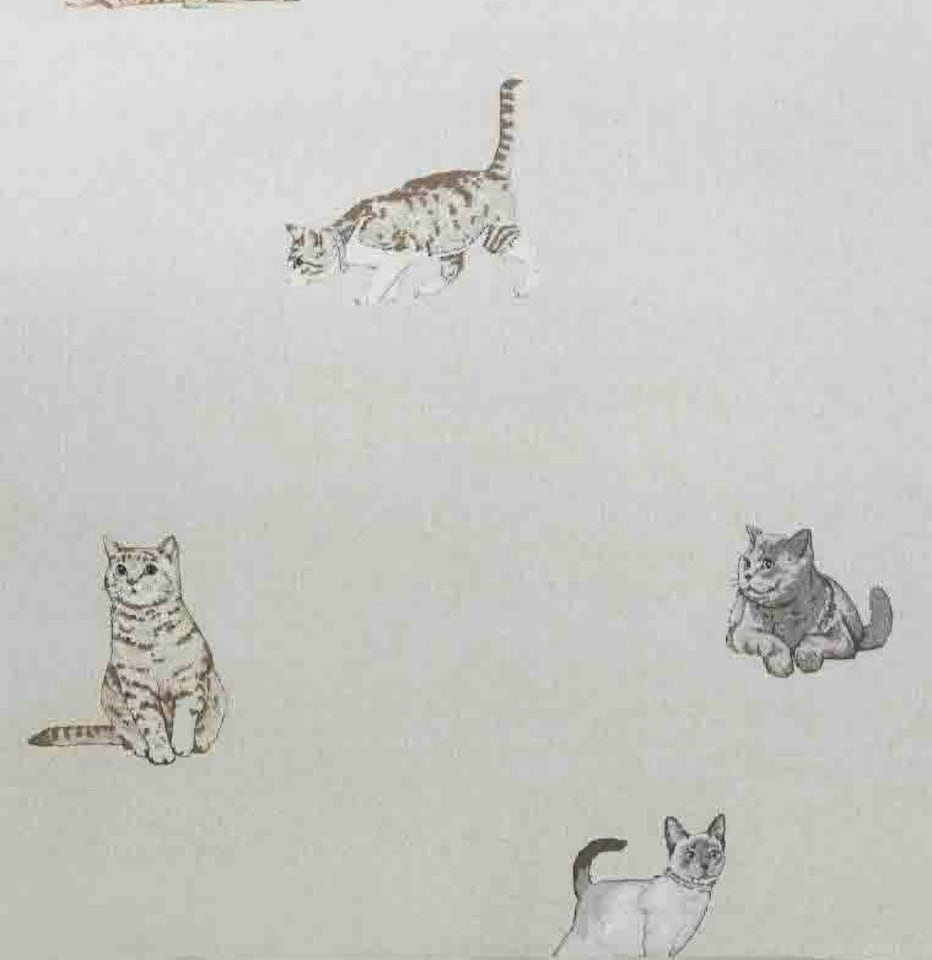 image 1 of Purrrfect Duvet Cover Set Cats and Stripes Bedding Natural - Single