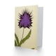 image 2 of Scottish Thistle Flower Birthday Card
