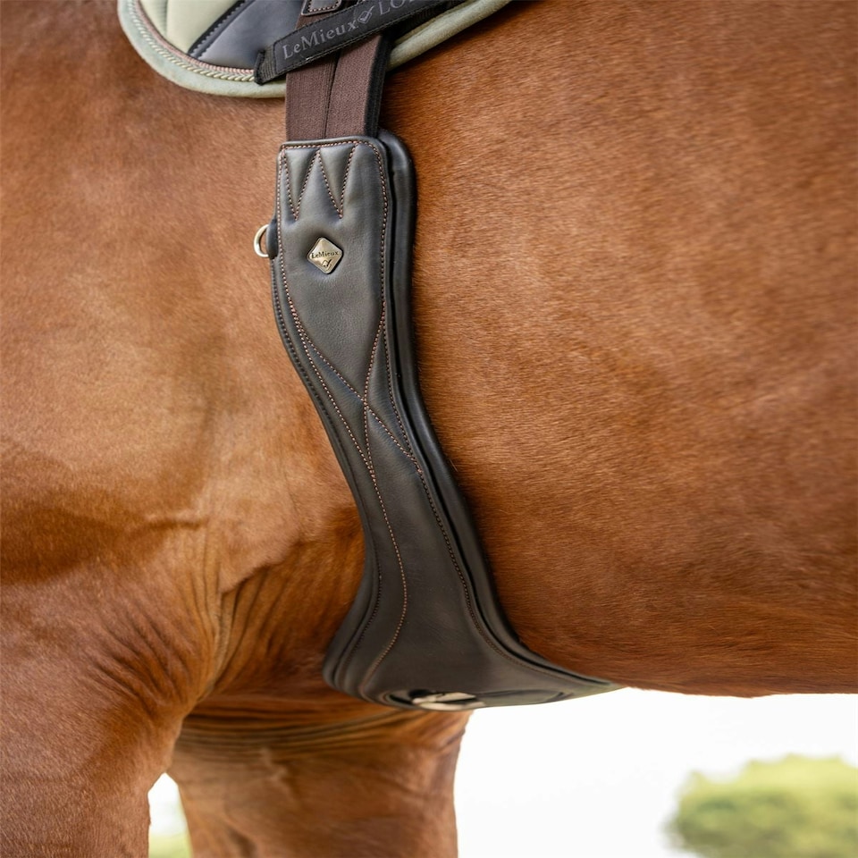 image 1 of LeMieux Gel-Tek Anatomic Jumping Girth Black | 120cm