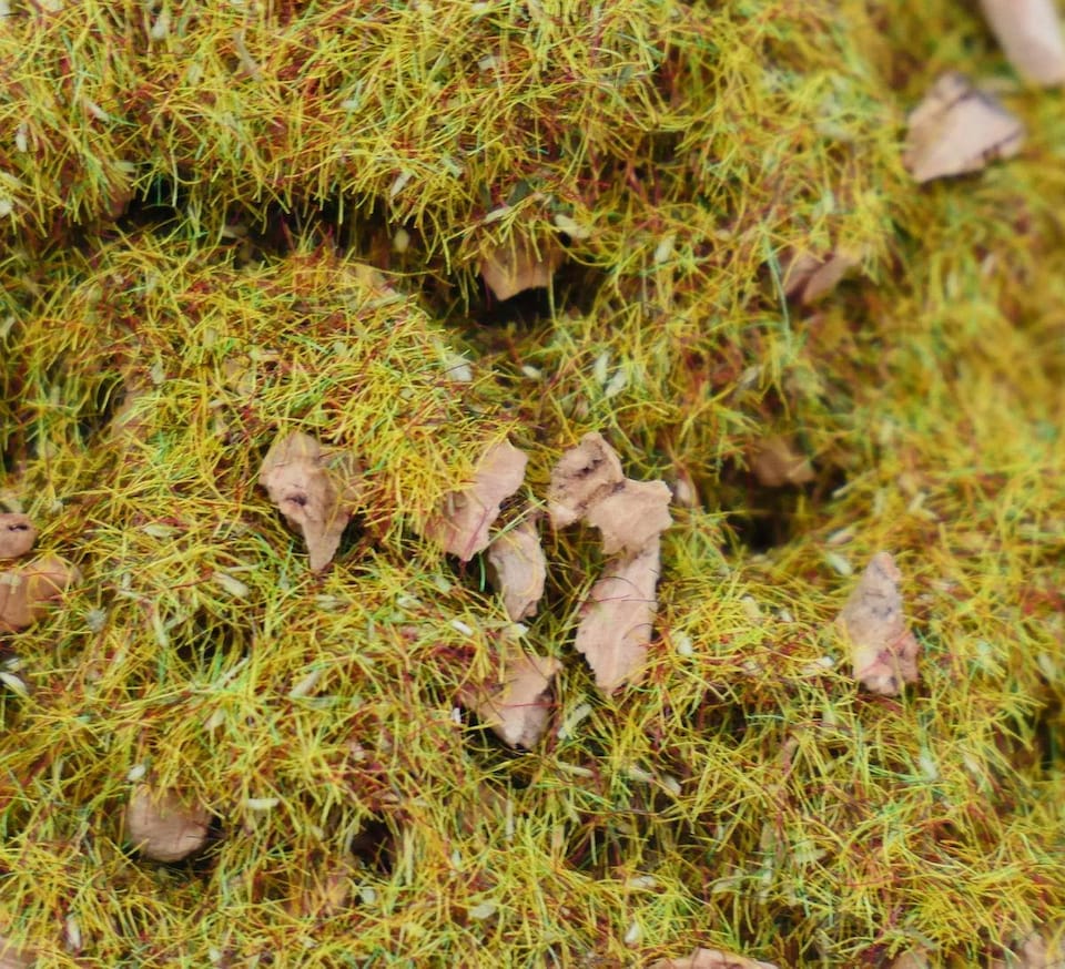 image 1 of Gaugemaster Scenics Alpine Meadow 2.5mm Static Grass 30g (GM174)