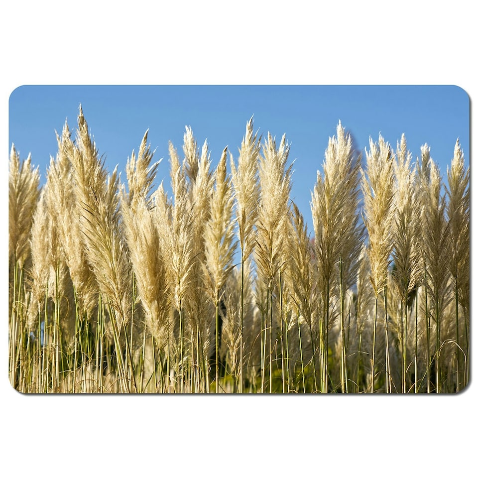 Pampus Grass (Placemat)
