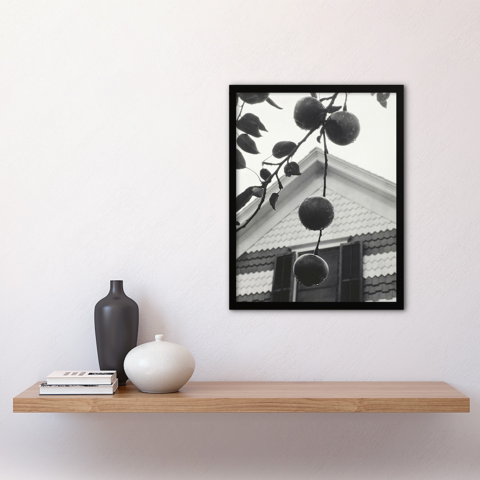 image 1 of Gable and Apples Photograph Alfred Stieglitz Framed Wall Art Print 12X16"