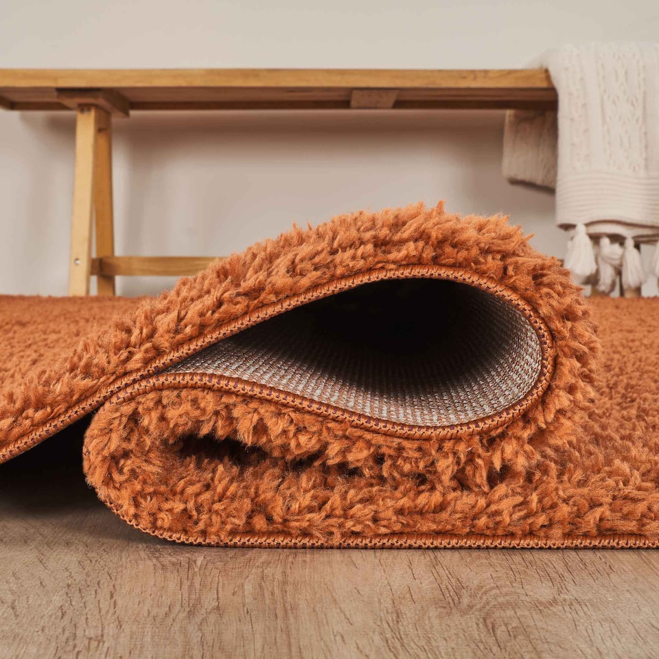image 1 of Desire Rugs Ainsley Plain Living Room Shaggy Area Rug